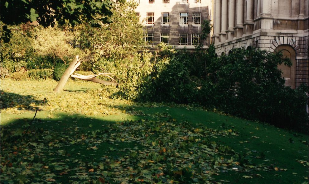 Damage to walnut trees in the gardens of Lincoln's Inn during 1987