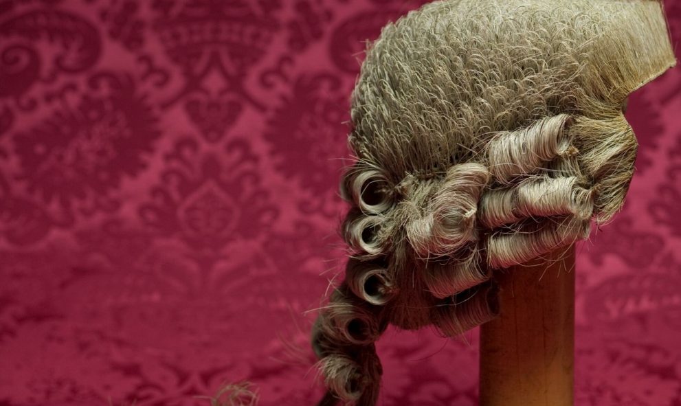 image of wig on wig-stand against red cloth background
